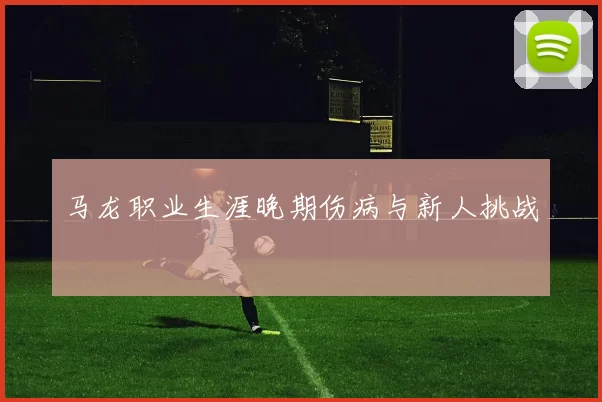 马龙职业生涯晚期伤病与新人挑战