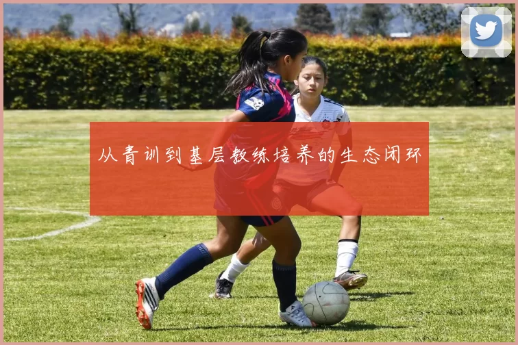 从青训到基层教练培养的生态闭环