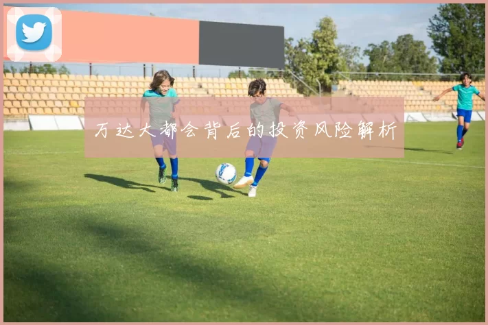 万达大都会背后的投资风险解析