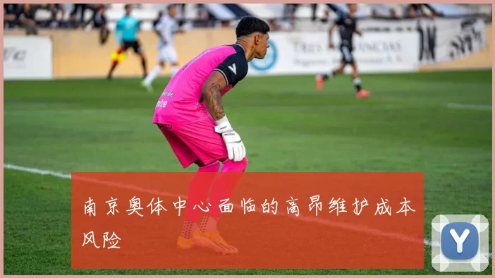 南京奥体中心面临的高昂维护成本风险