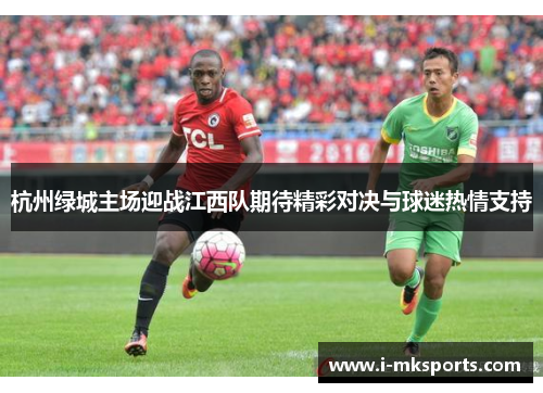 杭州绿城主场迎战江西队期待精彩对决与球迷热情支持